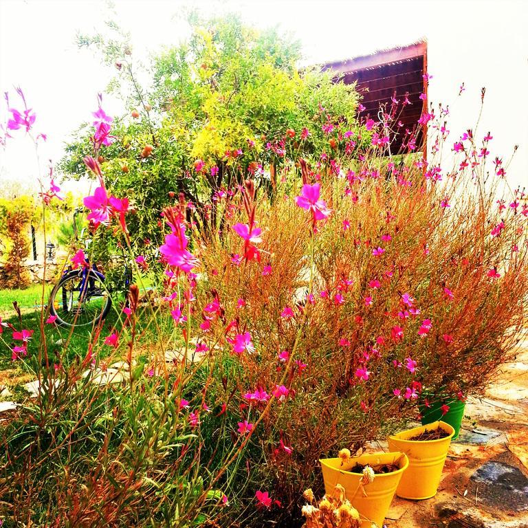 Hotel Nar Bagevi Bozcaada Exterior foto